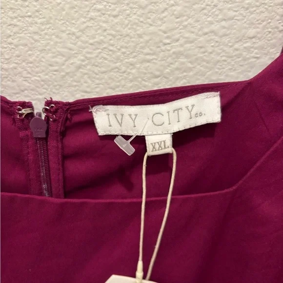 Ivy City Co Rayna Ribboned Elegant Woman’s Deep Pink Dress XXL NEW - Picture 7 of 7